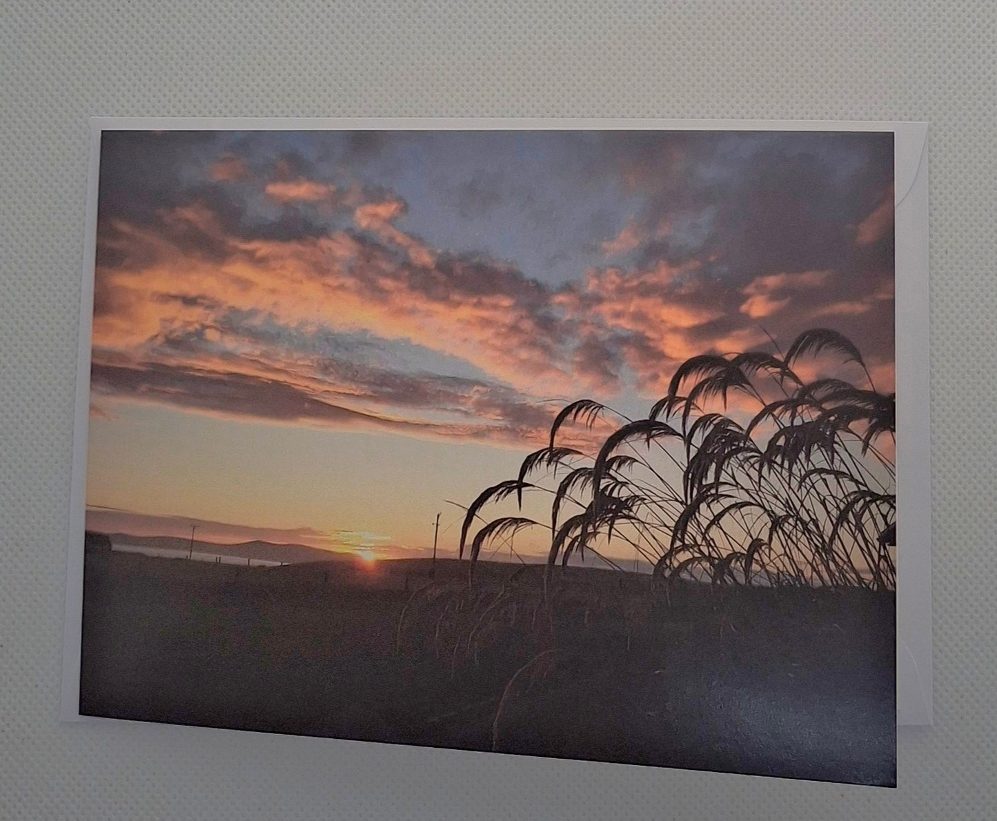 Orkney Photo Cards - Choice of Designs