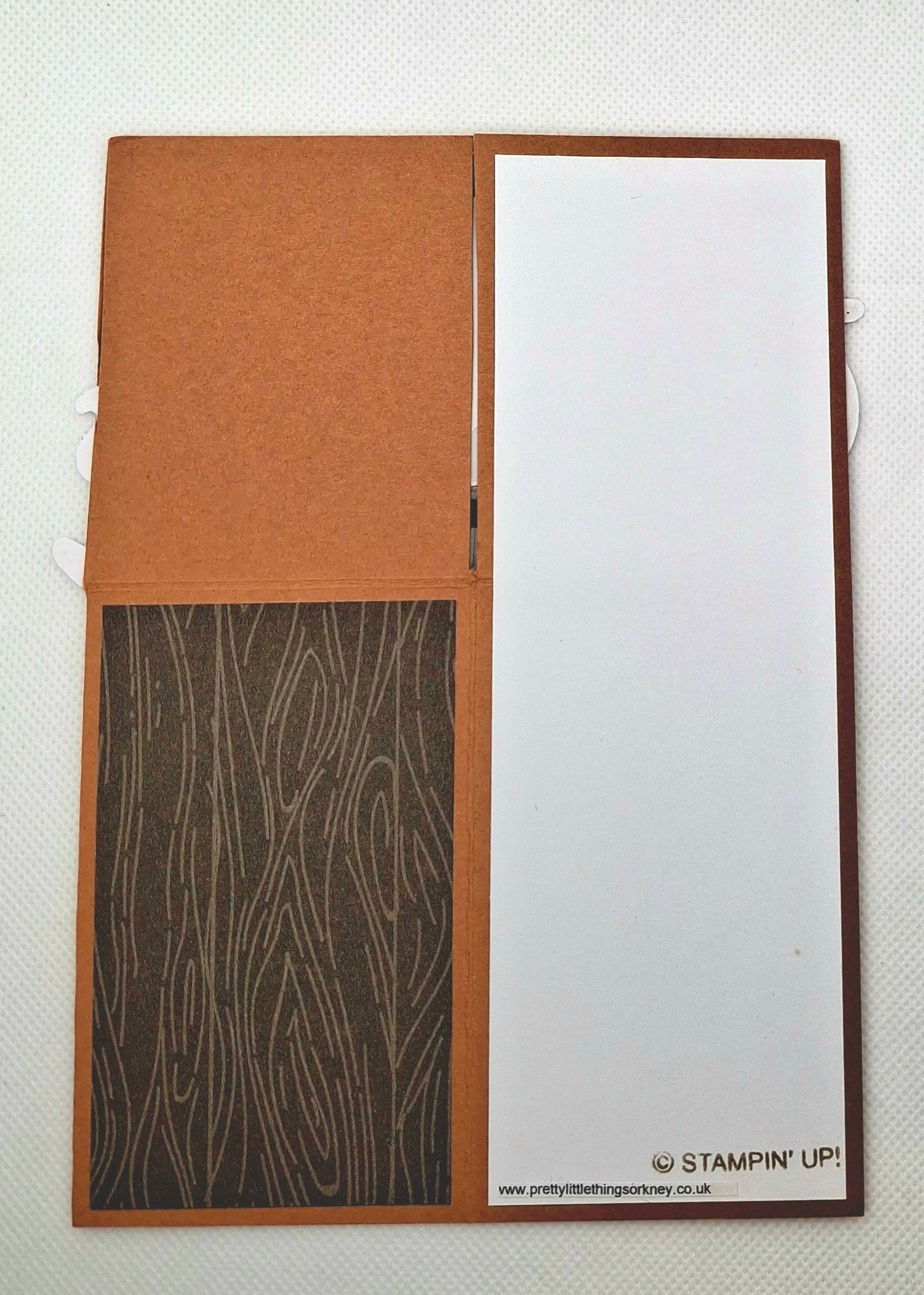 Pop-Up Cats Card - Brown