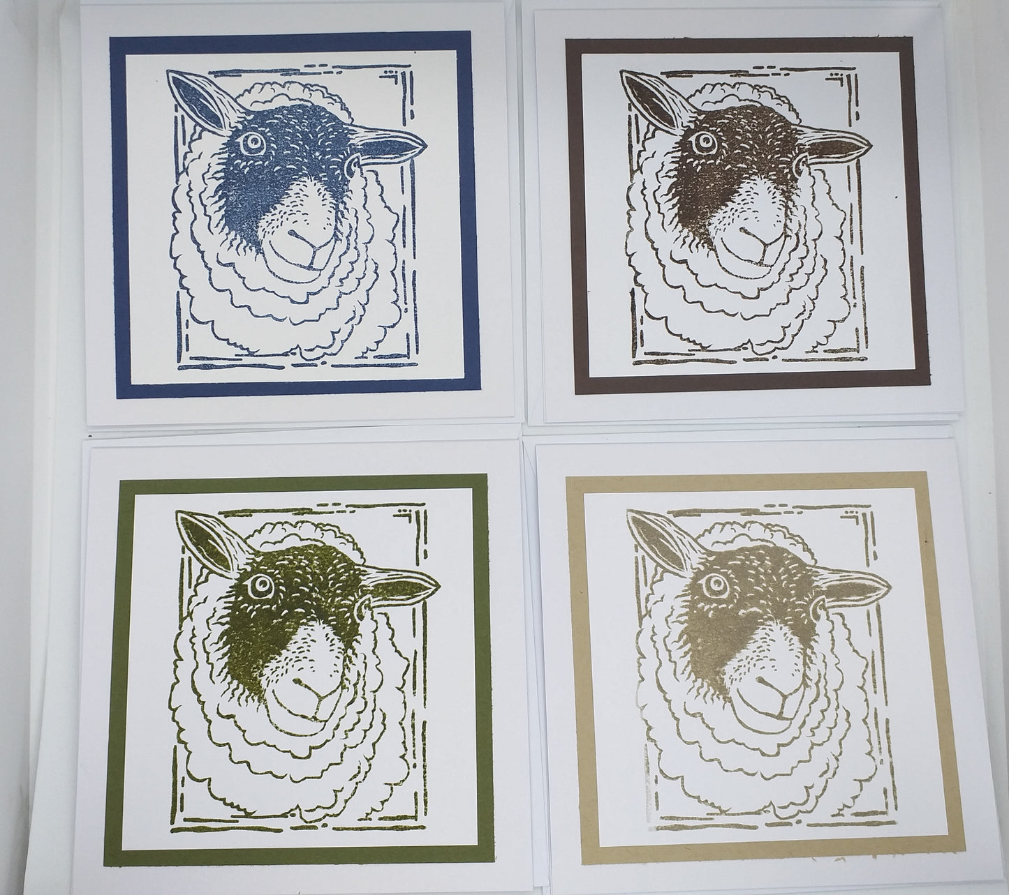 A set of four square greeting cards with lino cut style stamped sheep designs, each with a different colored border.