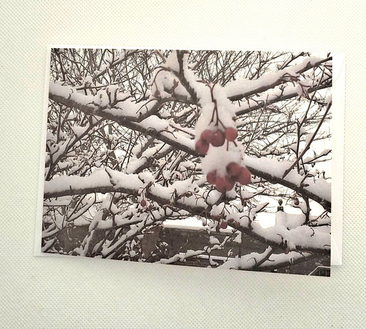 Orkney Photo Cards - Choice of Designs