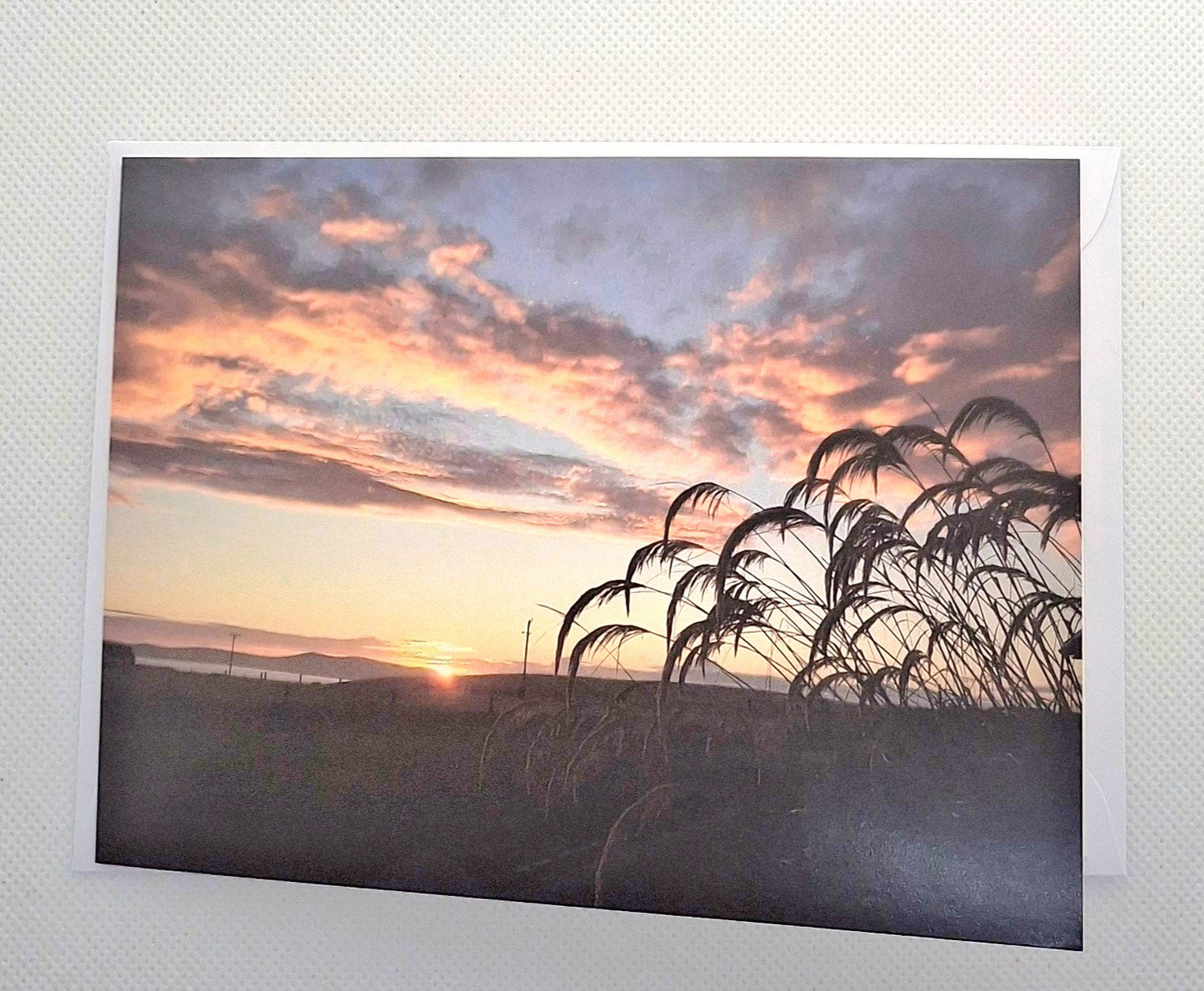 Orkney Photo Cards - Choice of Designs