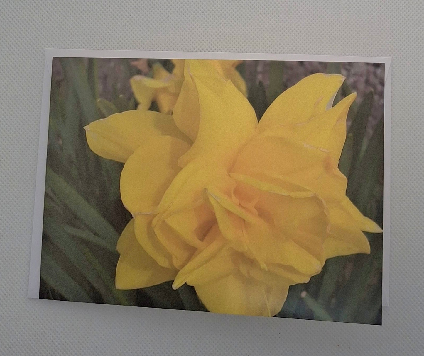 Orkney Photo Cards - Choice of Designs