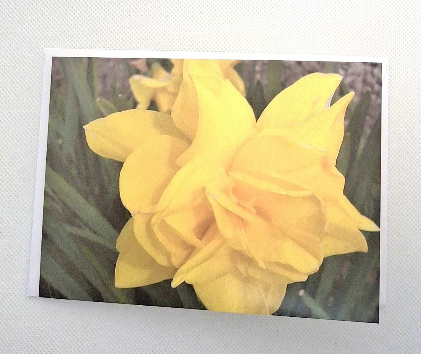 Orkney Photo Cards - Choice of Designs