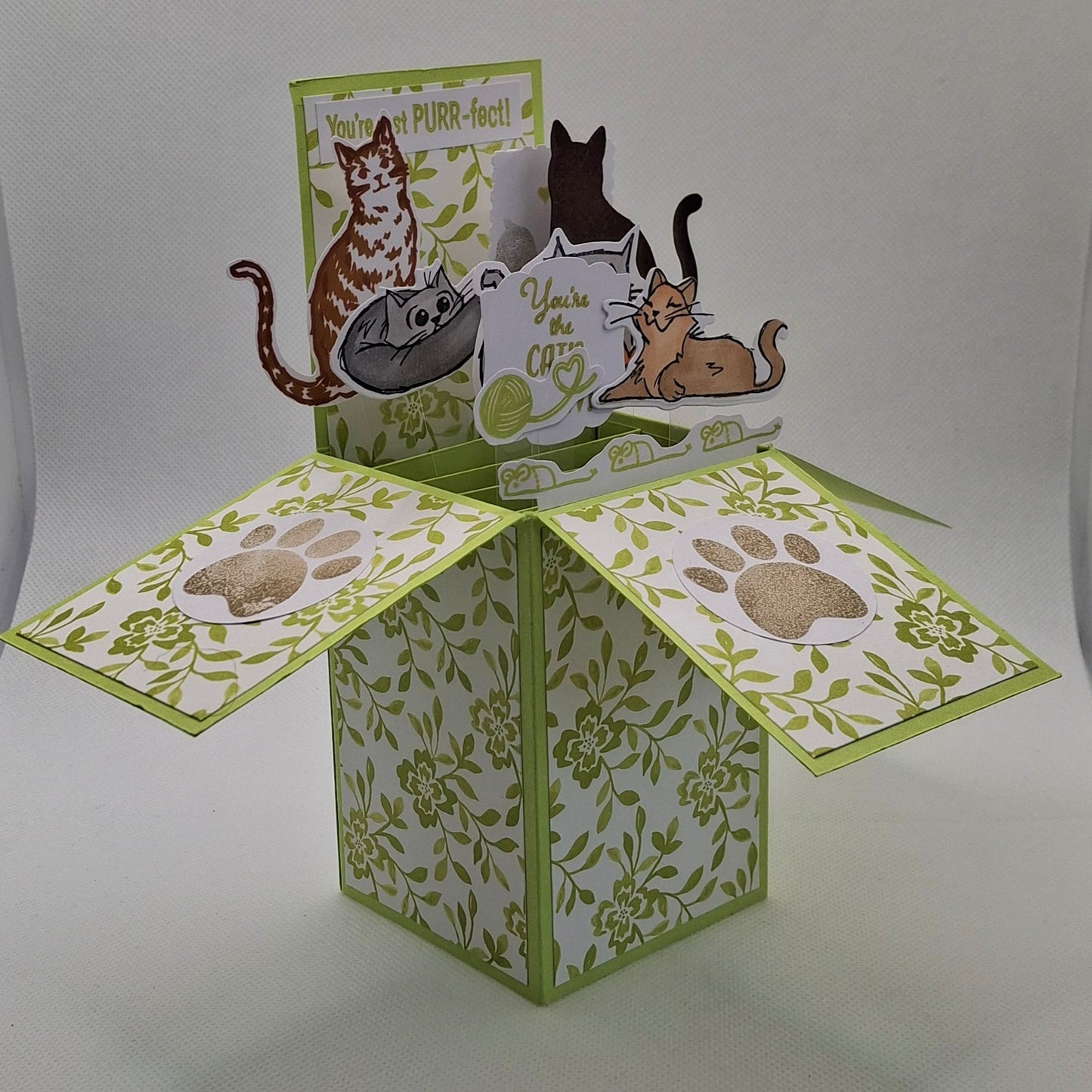 Pop-Up Cats Card - Lime