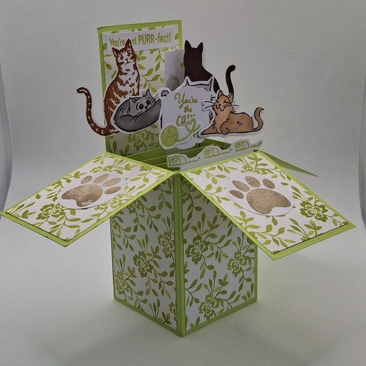Pop-Up Cats Card - Lime