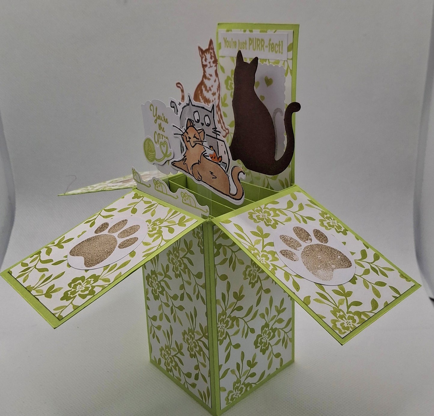 Pop-Up Cats Card - Lime