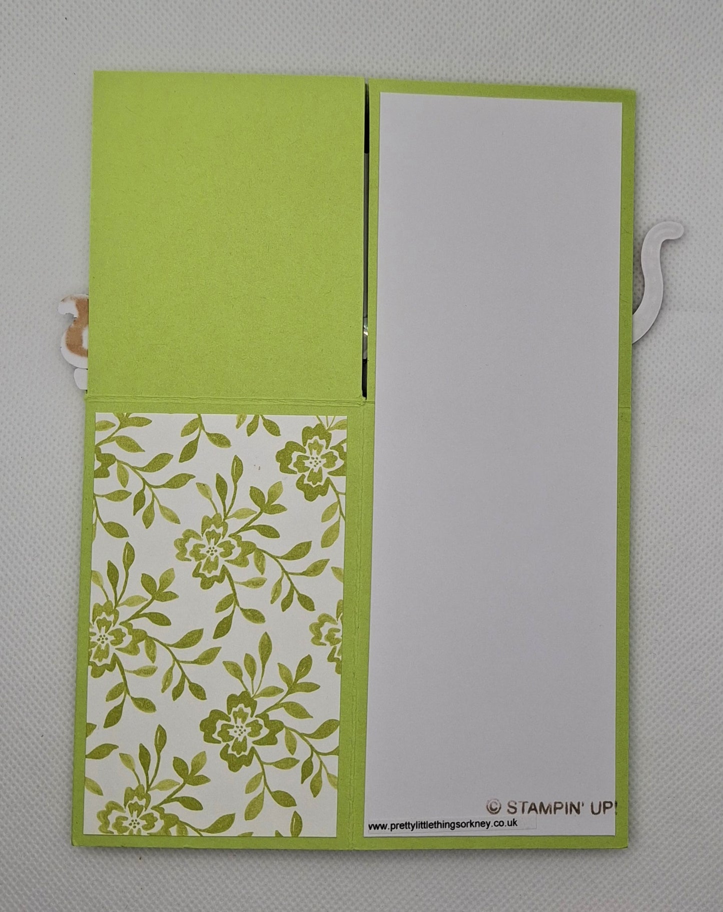 Pop-Up Cats Card - Lime