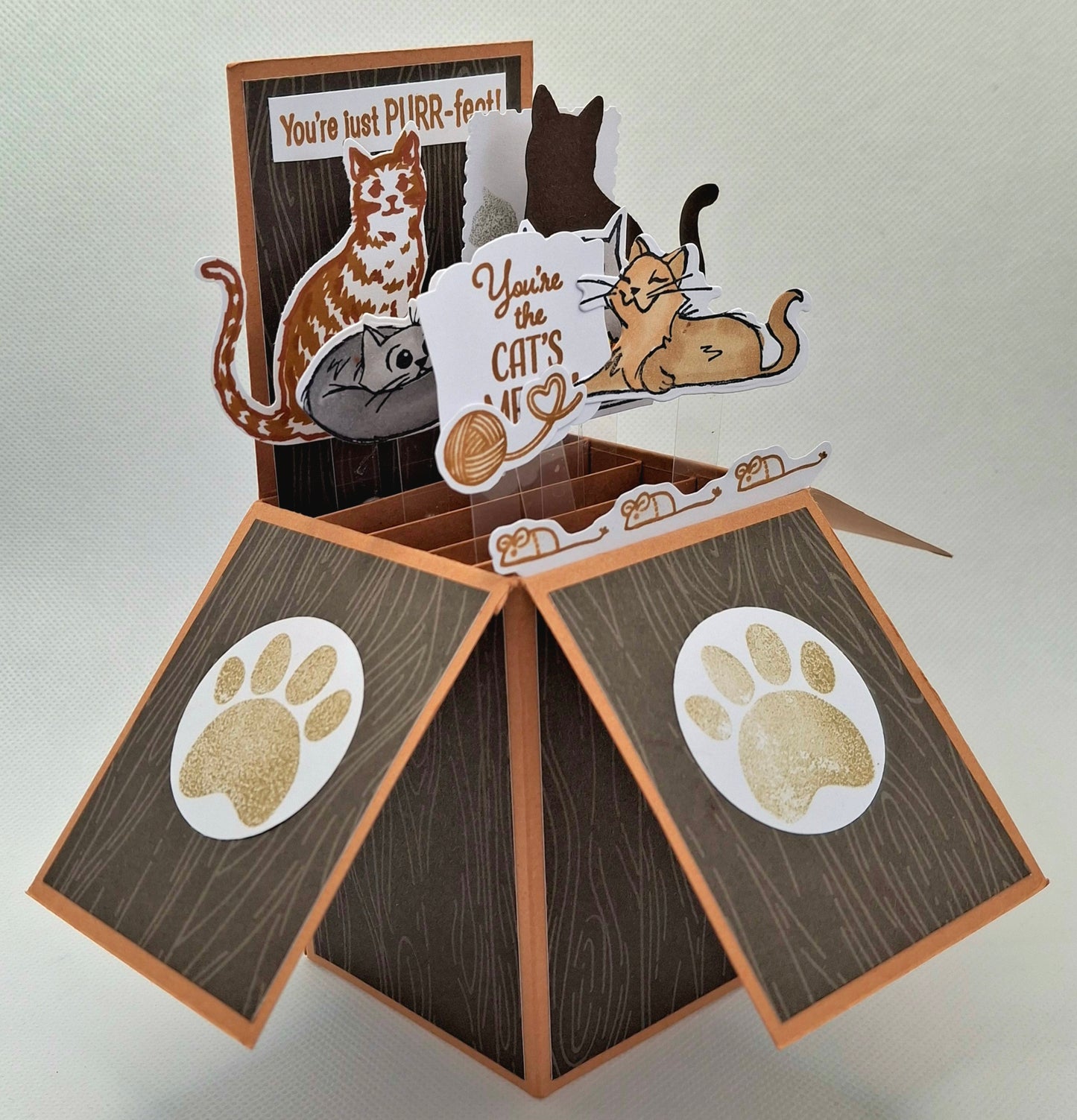 Pop-Up Cats Card - Brown