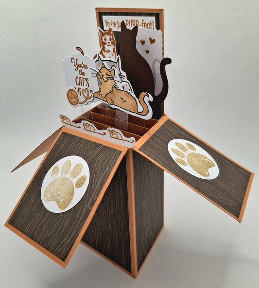 Pop-Up Cats Card - Brown