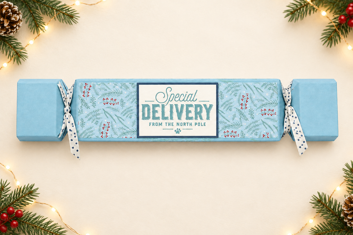 Festive pale blue cracker