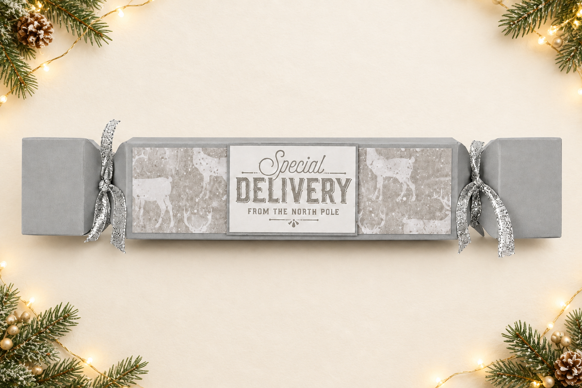 Festive silver reindeer cracker